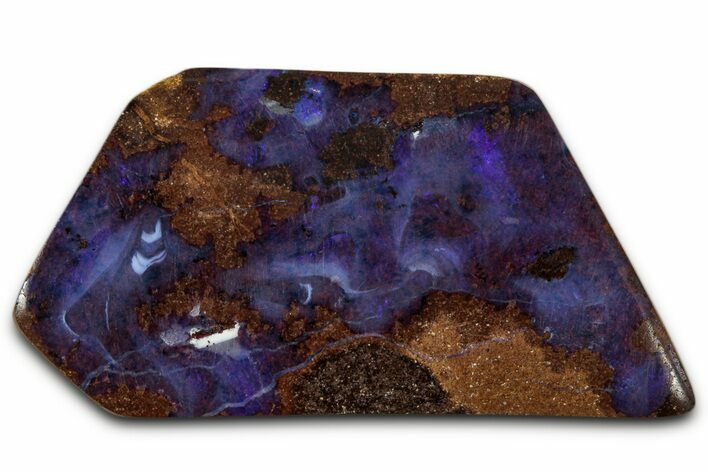 Electric Blue Boulder Opal Specimen - Queensland, Australia #351859